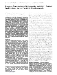 We did not find results for: Http Www Cell Com Current Biology Pdf S0960 9822 09 01482 1 Pdf