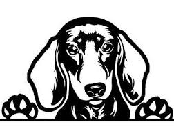 Black And White Dachshund Face Clipart Dachshund Svg Etsy Dachshund Dog Breeds Cricut