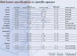 Allbirds Size Chart Pusat Hobi