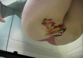 Buttcrush fish - Best adult videos and photos