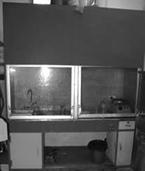 Must contain at least 4 different symbols; Jaypeedigital Ebook Reader