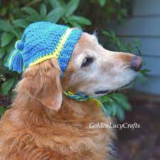 Easy free crochet cat patterns; Crochet Dog Hat Free Crochet Pattern Goldenlucycrafts