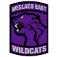 Donna North Girls JV Basketball @ Weslaco East event image