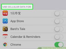 2 easy ways to check data usage on an iphone wikihow