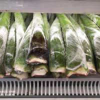 Tanaman ini telah banyak digunakan oleh masyarakat karena berbagai manfaat dan khasiatnya. Jual Lidah Buaya Di Medan Harga Terbaru 2021