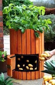 Pin On Gardeninginging