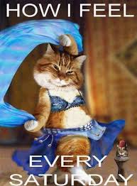 90 Funny Saturday Memes Images Pics For A Happy Weekend Funny Saturday Memes Saturday Memes Saturday Humor