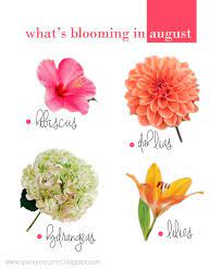 Secondary flowers tend to be smaller and will round out the flower arrangement. Colors August Flowers August Wedding Flowers August Flowers Cheap Wedding Flowers