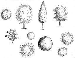 coupes et plans arbres comment dessiner un arbre dessin d coloriage de pleine conscience mandala