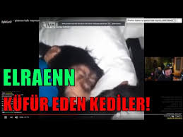 Kufur Eden Kedi 3gp Mp4 Mp3 Flv Indir