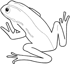 Free printable frog coloring pages. Print Download Frog Coloring Pages Theme For Kids