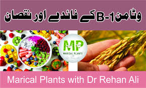 Vitamin B 1 Benefits And Side Effects Urdu Hindi Dr Rehan Ali Vitamin B Healthy Liver B Group Vitamins
