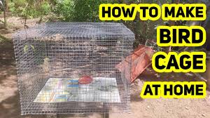 Place food and water bowls10 9. How To Make Bird Cage At Your Home In Rs 350 Youtube