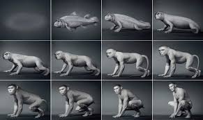 Is It Possible For A Species To Completely Alter Their Feeding Methods Herbivory Carnivory When Faced With Food Scarcity During Their Lifetime
