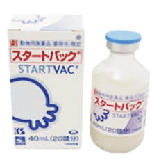 スタート バック