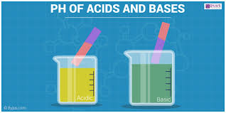 Ph Scale Acids And Bases Calculating Ph Value Videos