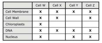 The biology subject test offers two options: 2019 Staar Biology Exam Diagram Questions Only Flashcards Quizlet