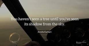 Whether it be quotes about birds flying or flying monkeys quotes, no one stops imagining flying. The Best Aviation Flying Quotes To Inspire Your Aviation Journey In 2021 Hangar Flights