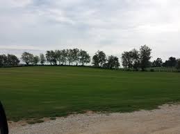 Your guide to trusted bbb ratings, customer reviews and bbb accredited businesses. Agri Sod Sod Farms Home Facebook