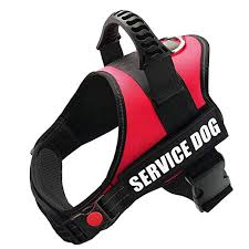 This video is all about service dog and their vest colors. The Best Service Dog Vests Harnesses Of 2021 Pet Life Today