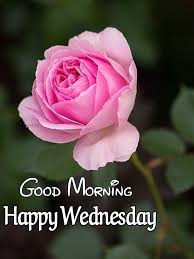 Good Morning