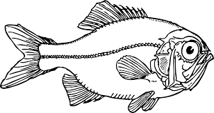 These days, i suggest fish clip art coloring pages for you, this post is similar with precious moments animals coloring pages. Download Ugly Fish Black White Line Art Coloring Book Fish Clip Art Png Image With No Background Pngkey Com