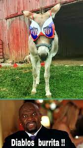 Jul 15, 2021 · no perdonan: Memes Junior De Barranquilla Futbol Colombiano Barranquilla Memes