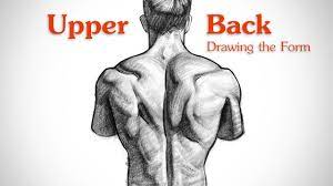Getting started in digital art. How To Draw Upper Back Muscles Form Youtube