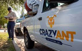 That's actually a good thing because ignored infestations can cause serious problems. Crazy Ant Pest Control By Crazy Ant Pest Control In Fresno Ca Alignable