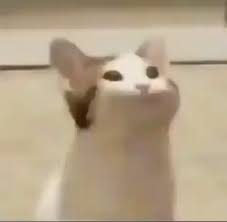 Big Mouth Cat Gif Bigmouthcat Discover Share Gifs Pop Cat Cat Memes Animal Memes