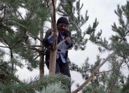 зкд 1 серия 1 сезон в хорошем качестве смотреть Borodach 1 Sezon Vse Serii Smotret Onlajn Besplatno V Horoshem Kachestve