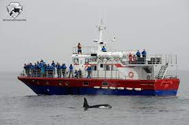 Láki Tours | Iceland Whale Watching Boats | Comfortable & Small Boats