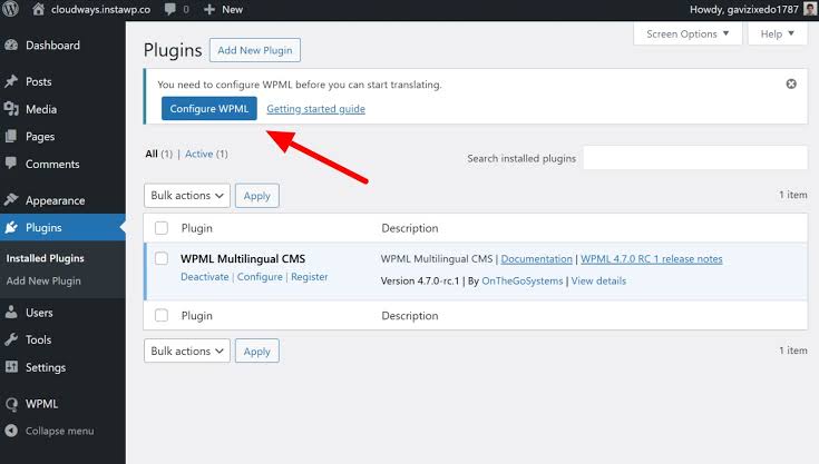 Configuring language parameters in WPML, AI generated