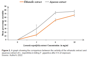 Image result for Vernonia nepetifolia