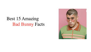 Ester bunny actually depicts a role as to decide whether the bad thing: Best 15 Amazing Bad Bunny Facts Nsf Music Magazine