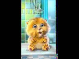 El Gato Tom Buenos Dias Divertente Creativo Idee