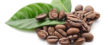 Mackellar range coffee is a 100% australian single origin arabica coffee, grown chemical and pesticide free in northern new south wales where the temperate micro climate produces a unique smooth taste offering a pleasing level of acidity with very little bitterness evident as well as low caffeine content., 100% single origin australian coffee grown pesticide free and processed free of. Tips On Choosing The Best Organic Coffee Beans In Australia