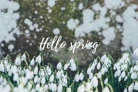 Free Spring Desktop Images Sonrisa Studio Spring Wallpaper Spring Desktop Wallpaper Free Spring Wallpaper