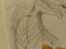 The series is a western retelling of the original captain harlock series from the late 1970s and early 1980s, created. Get Dragon Sketches In Pencil Pictures Special Image