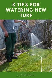 If you only need irrigation for periodic supplemental watering you may be ok. 8 Tips For Watering New Turf
