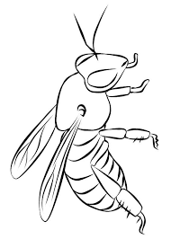 30 Disegni Di Api Da Colorare Disegni Api Colori