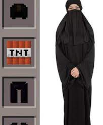 Can we reach 200'000 pro's?. Creeper In Real Life Minecraft Armor Parodies Know Your Meme