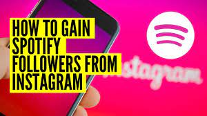 You can use them to show off your numbers and as social proof. How To Gain Spotify Followers From Instagram Youtube