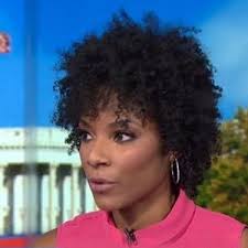 Meanwhile, zerlina is an american speaker, political analyst, commentator, and writer. Zerlina Maxwell Wiki Married Status Net Worth Height Parents