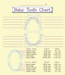 Baby Teeth Chart Baby Tooth Chart Jace Tooth Chart