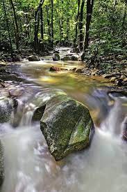 Persekitaran air terjun yang dihiasi. Pin On Conservation National Parks State Parks Unesco Sites