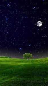 Sky Full Of Stars And Moon Mobile Wallpaper Full Hd Wallpaper Android Hd Nature Wallpapers Mobile Wallpaper