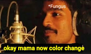 We did not find results for: Tweetera On Twitter After Black Amp White Fungus Now Yellow Fungus Infection Cases Reported In India Fungus S Mood Swings Be Like Yellowfungus Https T Co Sbvhrmkzid Twitter