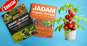 Compare prices & read reviews. 6 Easy Organic Sources Of Calcium To Plants 2 Gardening Hacks Gkvks Gardening Tips And Store