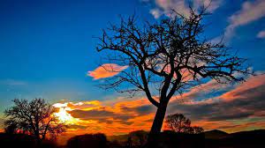 4k Wallpaper Nature Sunset Ideas Wallpaper Pc 4k Wallpapers For Pc Nature Wallpaper
